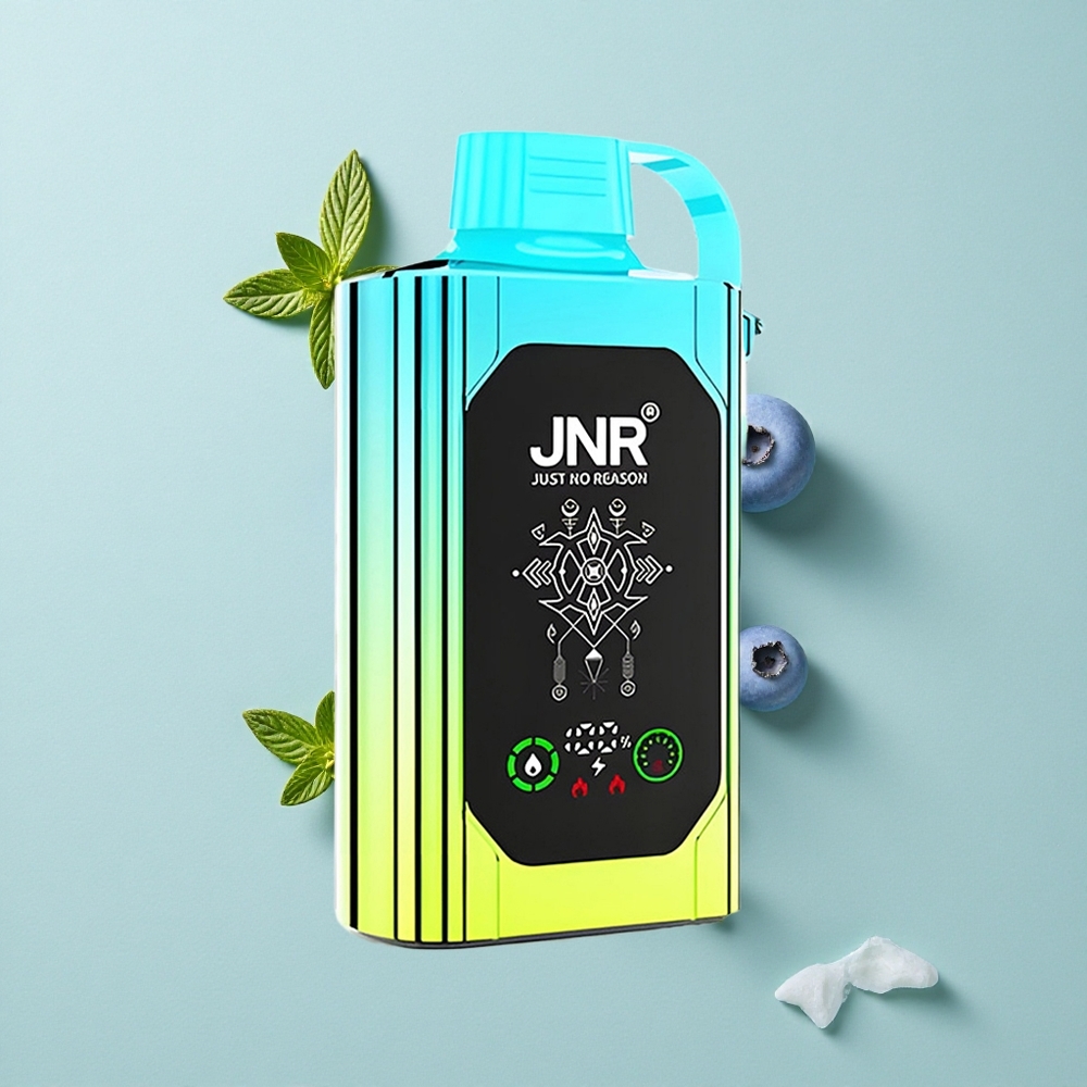 JNR Shisha Hookah Box 20500 Puffs Blaubeere Minze HD Display Typ-C Schnellladung vape großhandel Deutschland