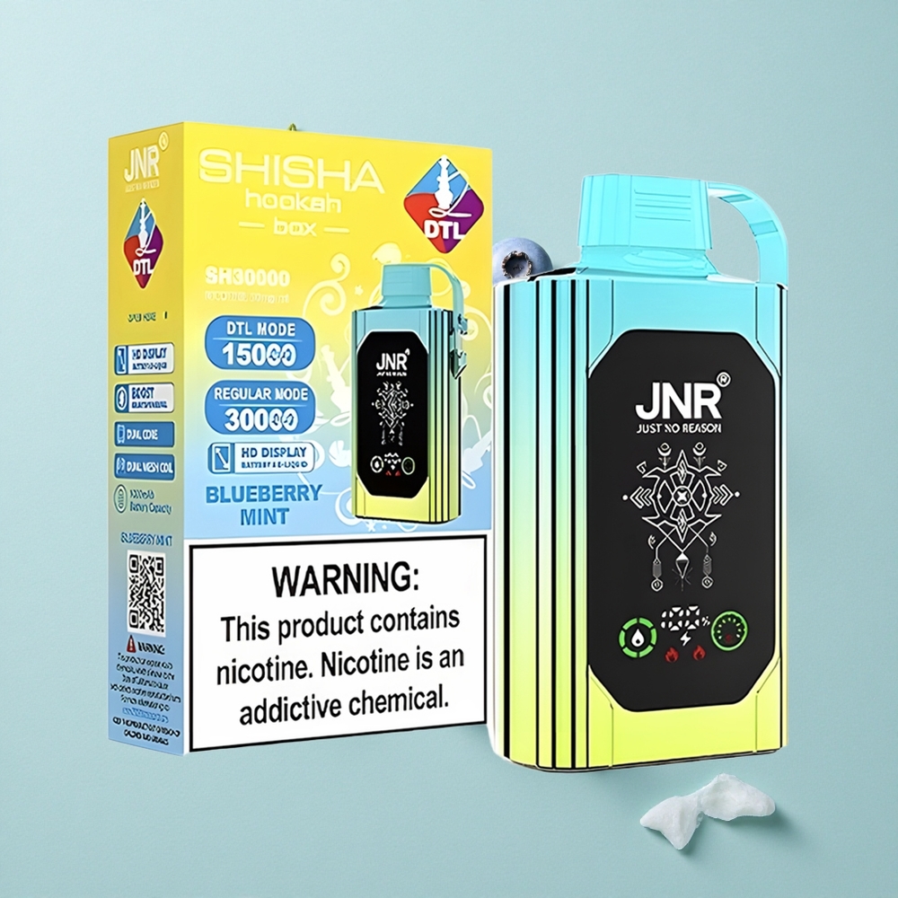 JNR Shisha Hookah Box 20500 Puffs Blaubeere Minze HD Display Typ-C Schnellladung vape großhandel Deutschland