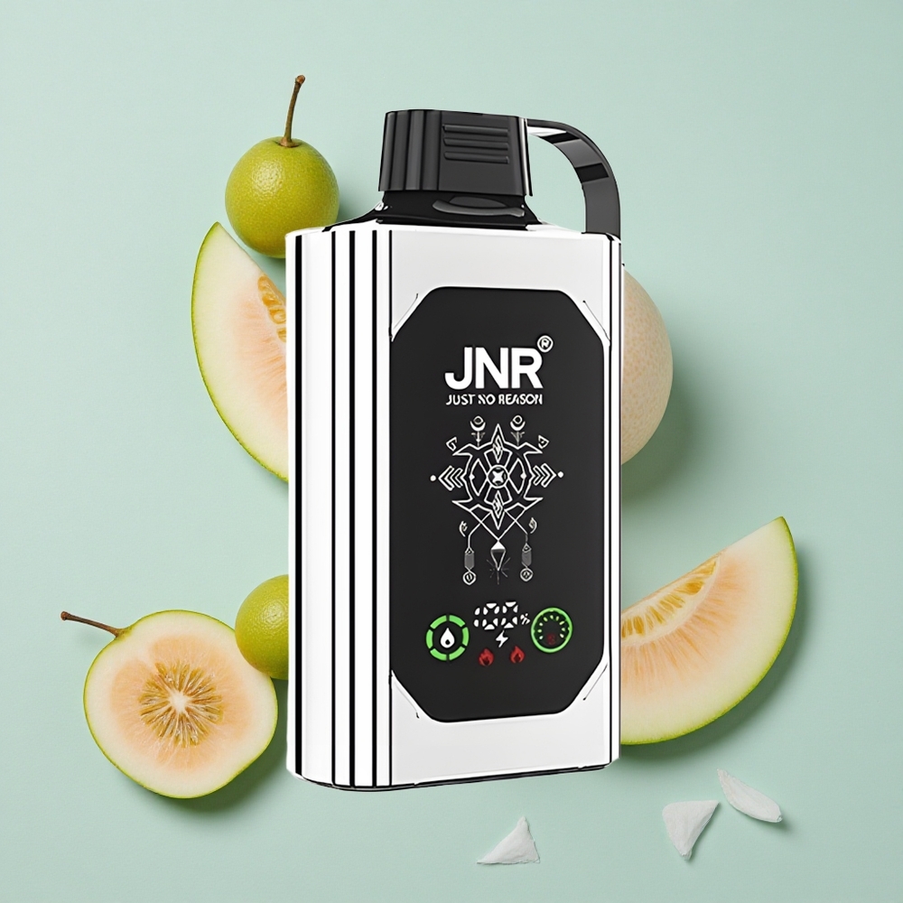JNR Shisha Hookah Box 20500 Puffs Doppel Melone Minze HD Display Typ-C Schnellladung vape großhandel Deutschland
