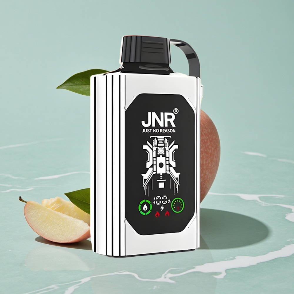 JNR Shisha Hookah Box 20500 Puffs Doppelapfel HD Display Typ-C Schnellladung vape großhandel Deutschland
