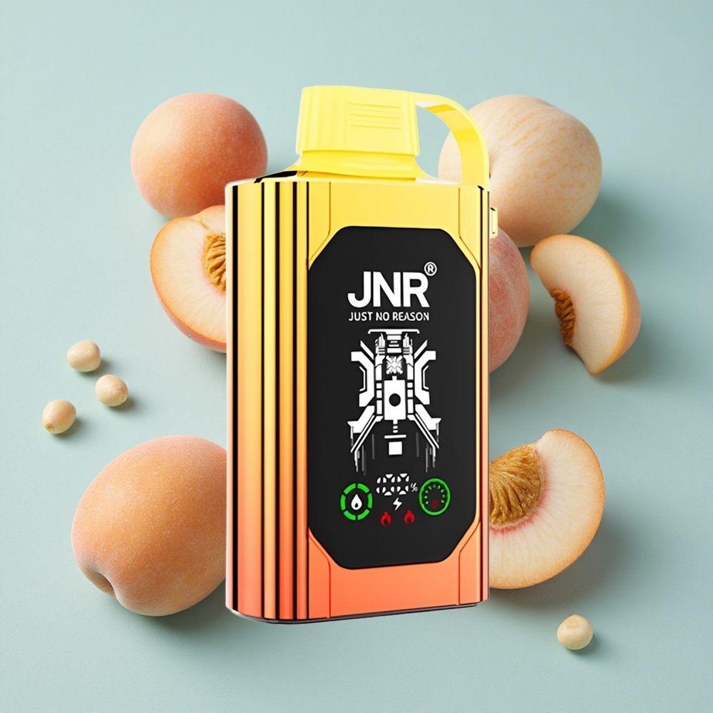 JNR Shisha Hookah Box 20500 Puffs Juicy Pfirsiche 25ml E-Liquid Dual Mesh Coil vape großhandel Deutschland