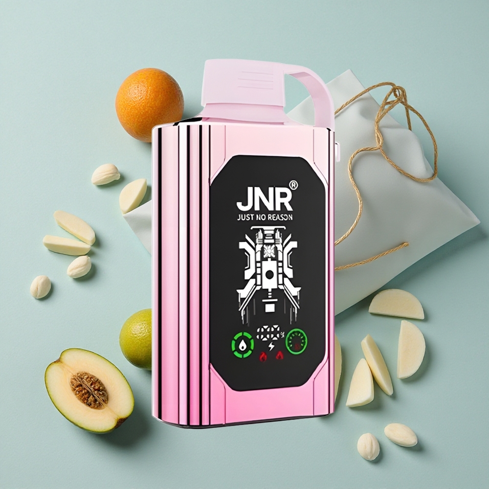 JNR Shisha Hookah Box 20500 Puffs Lady Killa Dual Mesh Coil Typ-C Schnellladung vape großhandel Deutschland