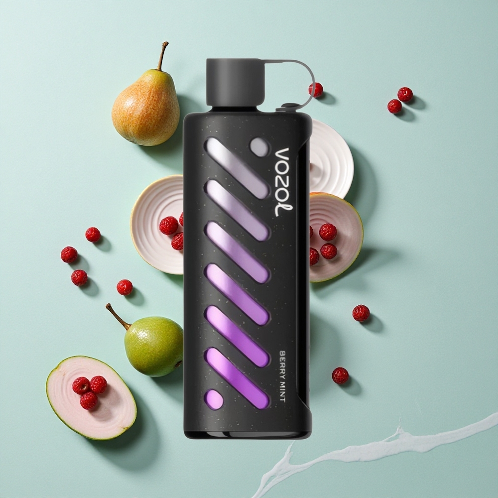 VOZOL Gear Shisha 25000 Puffs Beeren-Minze Dual Mesh Dual Modes vape großhandel Deutschland