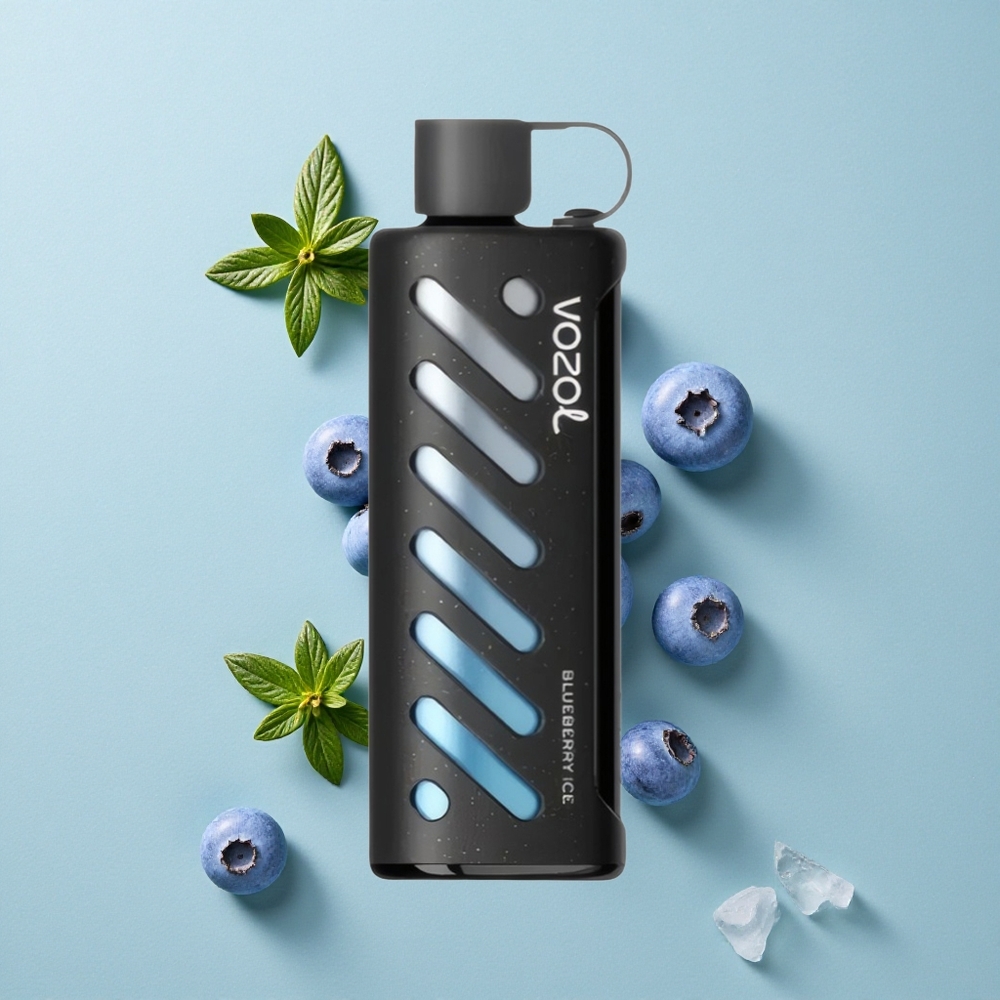 VOZOL Gear Shisha 25000 Puffs Blaubeer-Eis Dual Mesh Dual Modes vape großhandel Deutschland