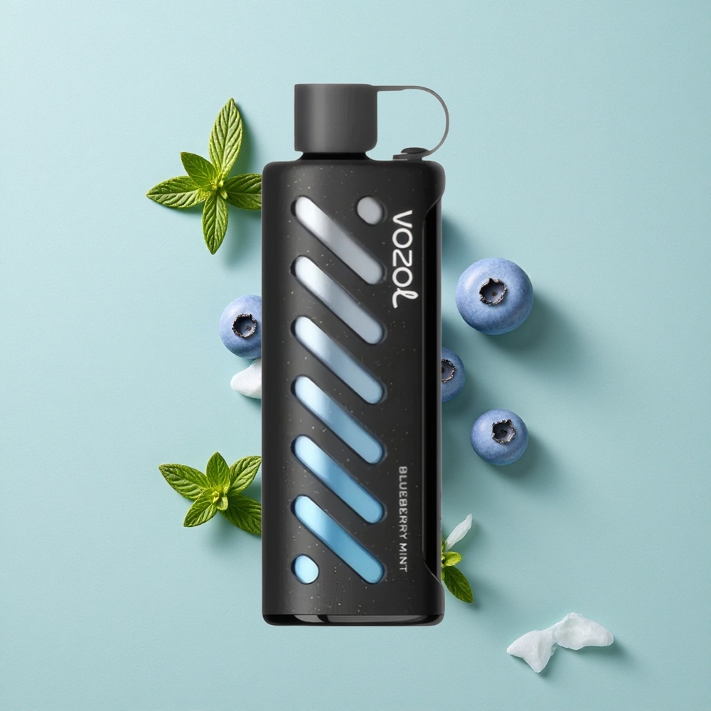 VOZOL Gear Shisha 25000 Puffs Blaubeere Minze Dual Mesh Dual Modes vape großhandel Deutschland