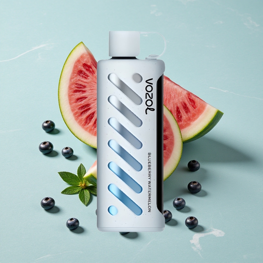 VOZOL Gear Shisha 25000 Puffs Blaubeere Wassermelone Dual Mesh Dual Modes vape großhandel Deutschland