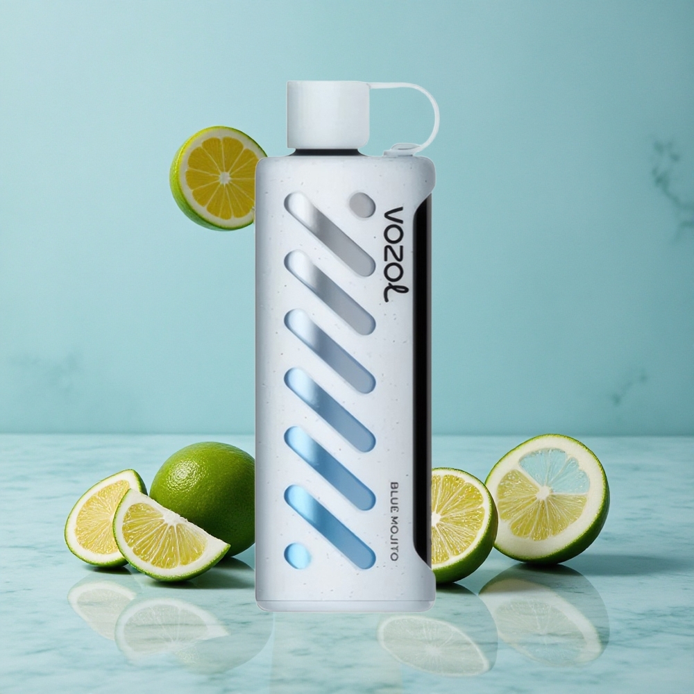 VOZOL Gear Shisha 25000 Puffs Blaue Mojito Geschmack Dual Mesh Dual Modes vape großhandel Deutschland