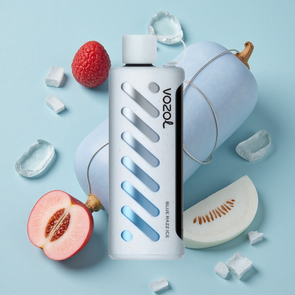 VOZOL Gear Shisha 25000 Puffs Blauer Himbeer-Eis Dual Mesh vape großhandel Deutschland