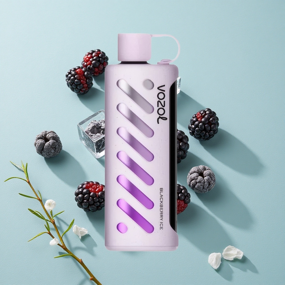 VOZOL Gear Shisha 25000 Puffs Brombeer-Eis Dual Mesh Dual Modes vape großhandel Deutschland