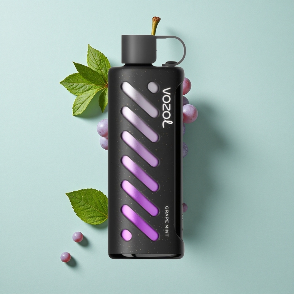 VOZOL Gear Shisha 25000 Puffs Grape Minze Dual Mesh Dual Modes vape großhandel Deutschland