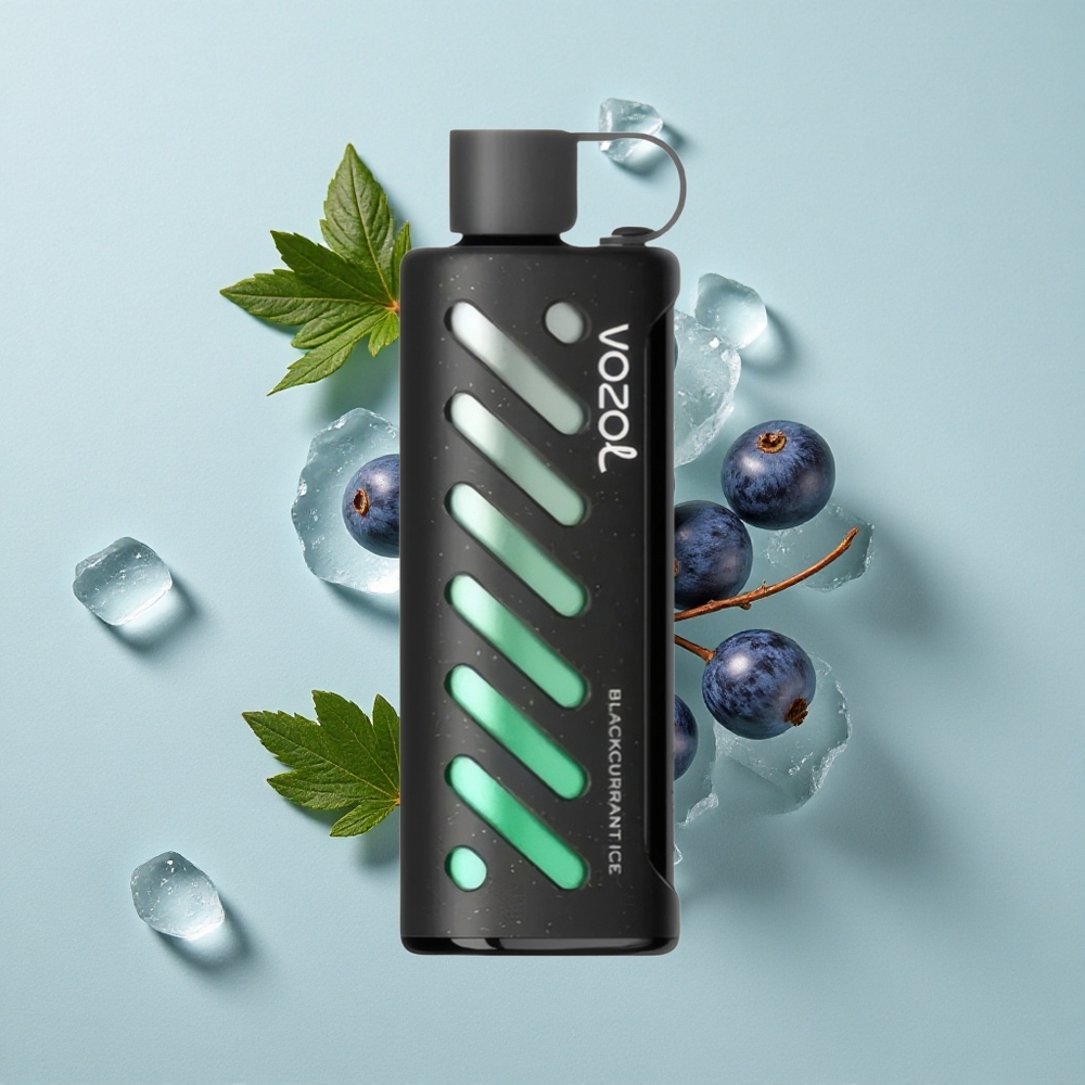 VOZOL Gear Shisha 25000 Puffs Schwarze Johannisbeere Eis Dual Mesh Dual Modes vape großhandel Deutschland