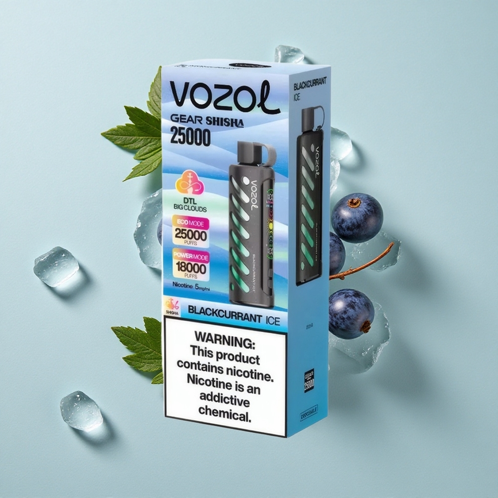 VOZOL Gear Shisha 25000 Puffs Schwarze Johannisbeere Eis Dual Mesh Dual Modes vape großhandel Deutschland
