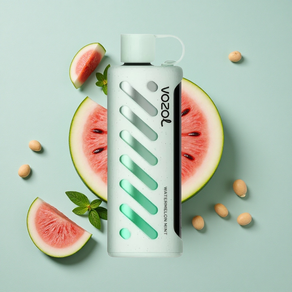 VOZOL Gear Shisha 25000 Puffs Wassermelone Minze Dual Mesh Dual Modes vape großhandel Deutschland