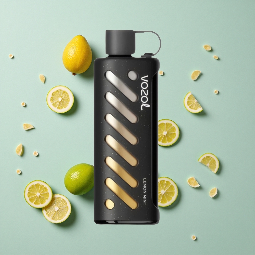 VOZOL Gear Shisha 25000 Puffs Zitrone Minze Dual Mesh Dual Modes vape großhandel Deutschland