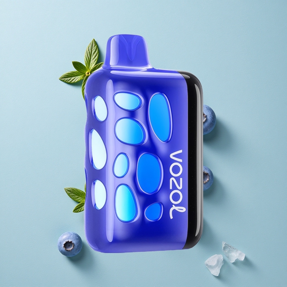 VOZOL RAVE 40000 Einweg-Vape Blaubeer-Eis mit 1000mAh Akku und Beat-Synced Party Mode vape großhandel Deutschland