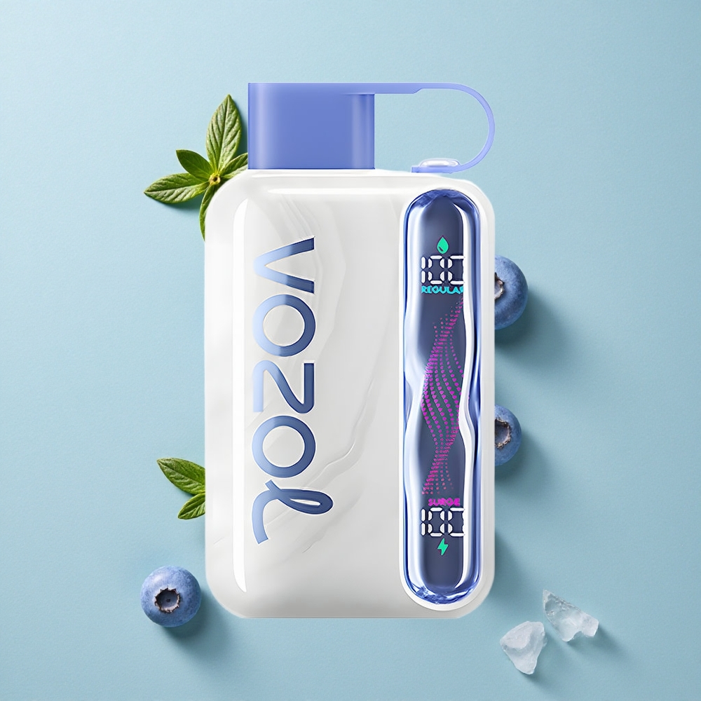 VOZOL STAR 40000 Puffs Blaubeer-Eis Einweg-Vape 1000mAh Typ-C vape großhandel Deutschland