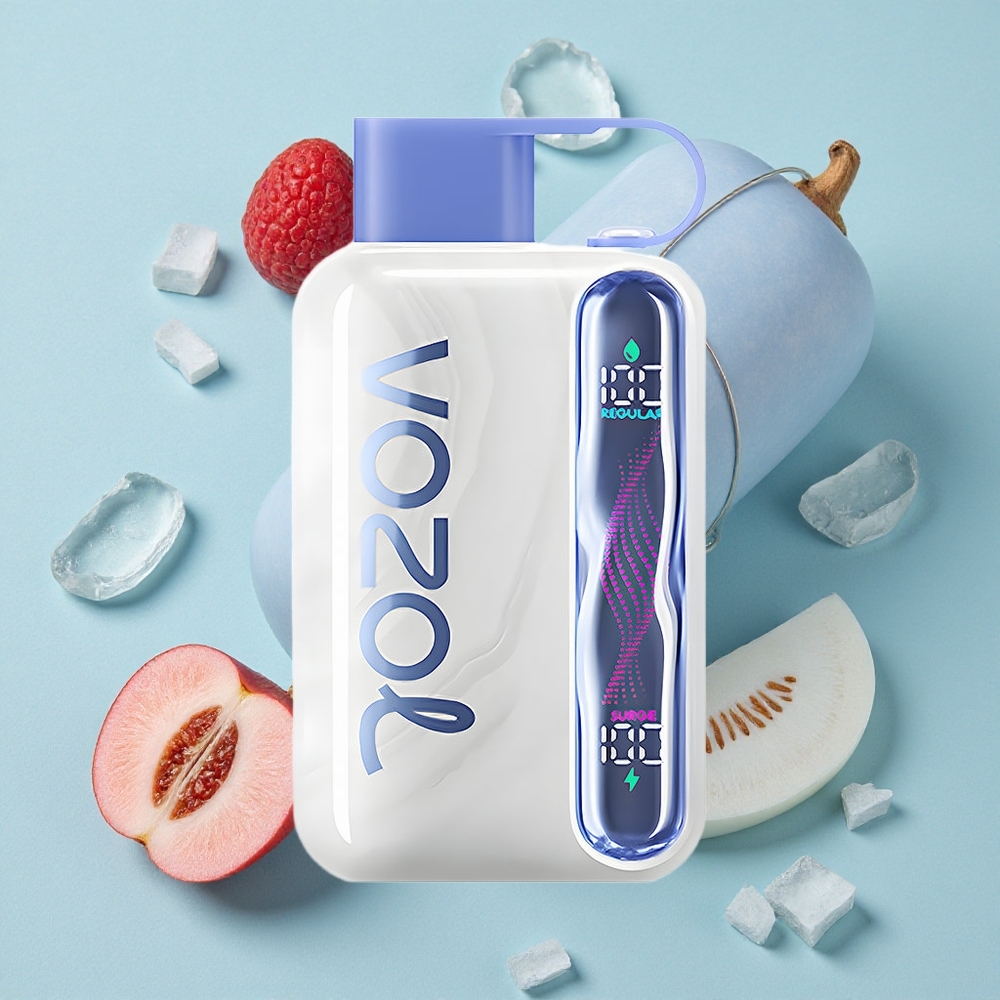 VOZOL STAR 40000 Puffs Blauer Himbeer-Eis Geschmack 1000mAh Typ-C vape großhandel Deutschland