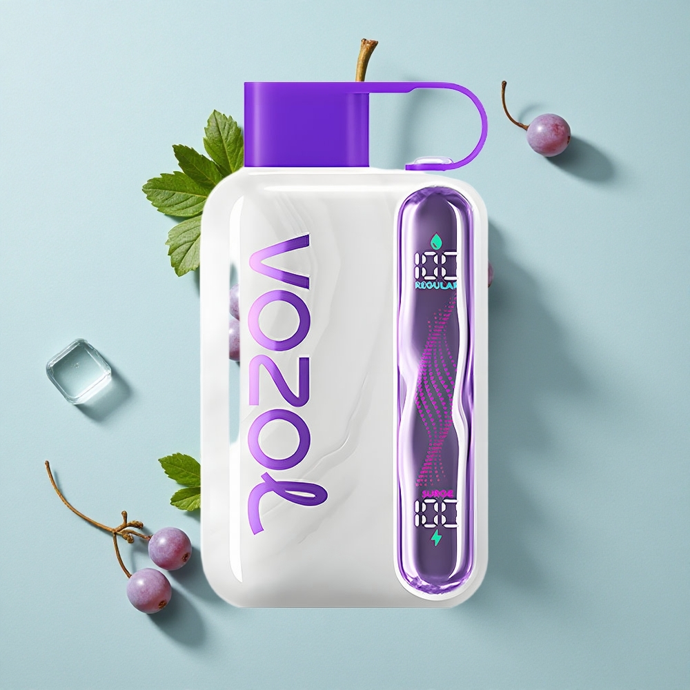 VOZOL STAR 40000 Puffs Einweg-Vape Grapeis Eis 1000mAh Type-C vape großhandel Deutschland