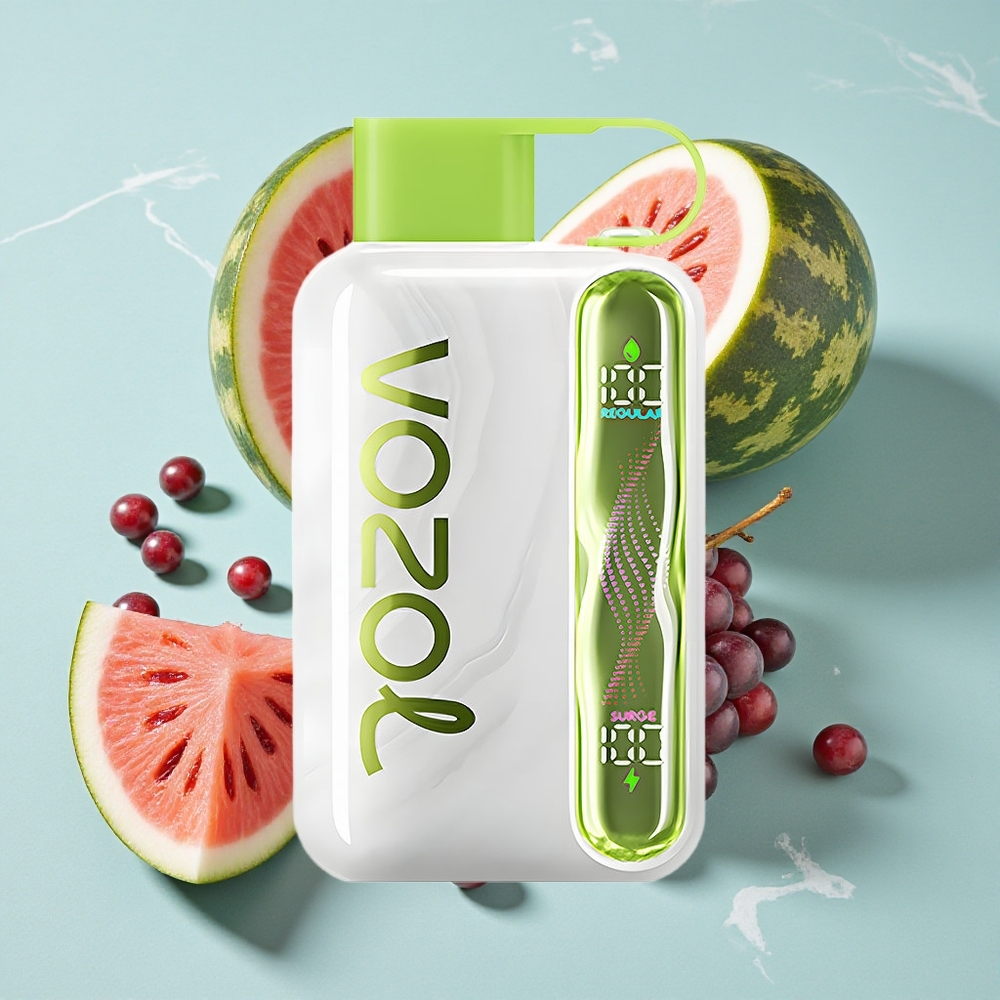 VOZOL STAR 40000 Puffs Einweg-Vape Wassermelone Traube Boysenbeere 1000mAh Typ-C vape großhandel Deutschland
