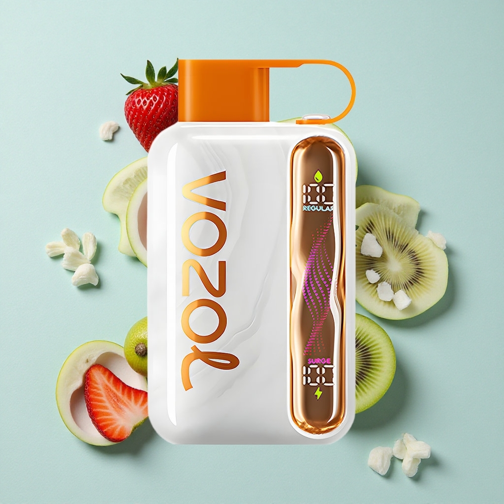 VOZOL STAR 40000 Puffs Erdbeer-Kiwi 1000mAh Typ-C vape großhandel Deutschland