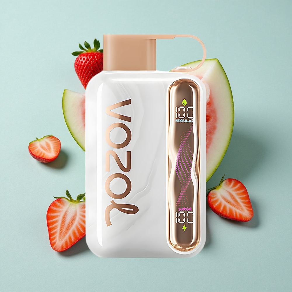 VOZOL STAR 40000 Puffs Erdbeer Wassermelone 1000mAh Typ-C vape großhandel Deutschland