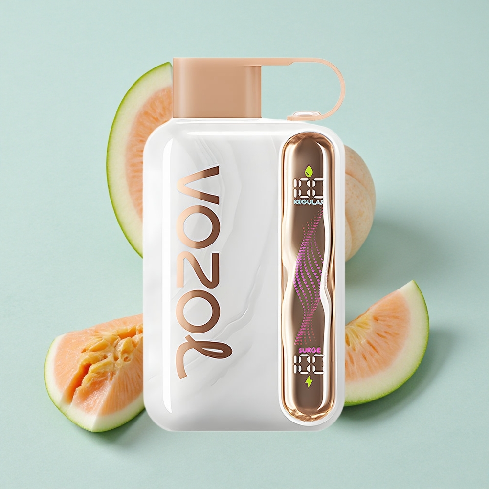 VOZOL STAR 40000 Puffs Erdbeer-Wassermelone-Pfirsich Einweg-Vape 1000mAh Typ-C vape großhandel Deutschland
