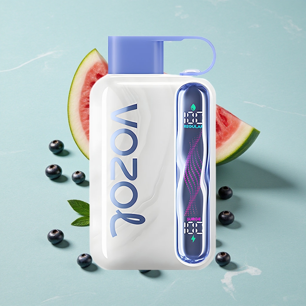 VOZOL STAR 40000 Puffs Himbeere Wassermelone Einweg-Vape 1000mAh Typ-C vape großhandel Deutschland