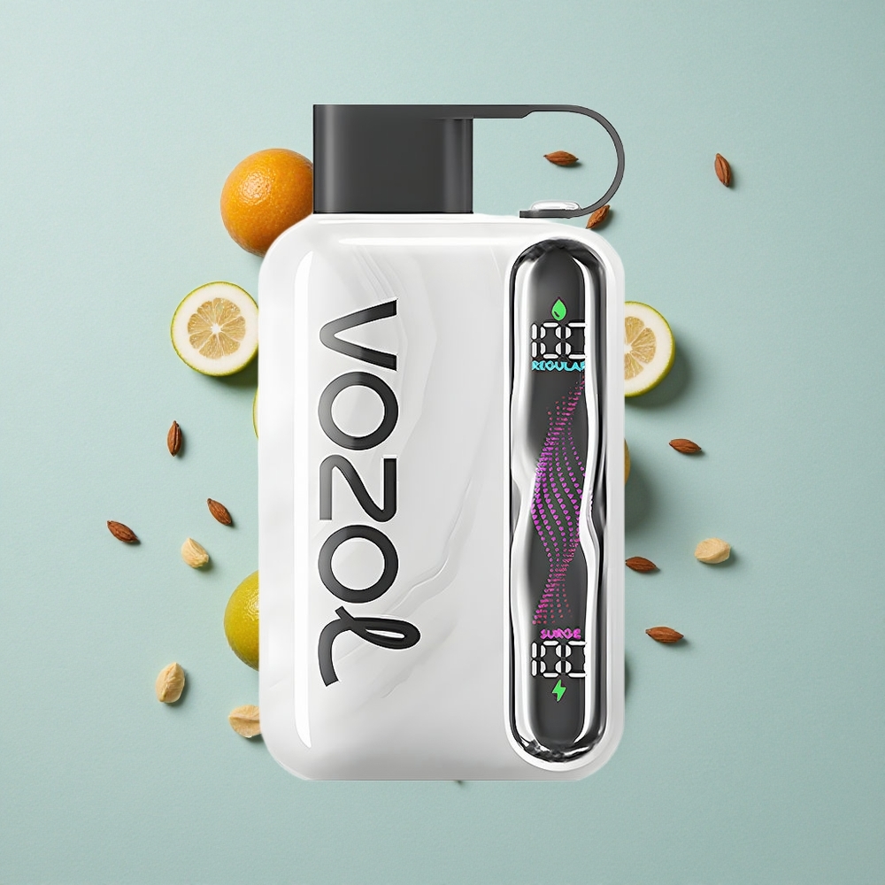 VOZOL STAR 40000 Puffs Tabak Einweg-Vape 1000mAh Typ-C vape großhandel Deutschland