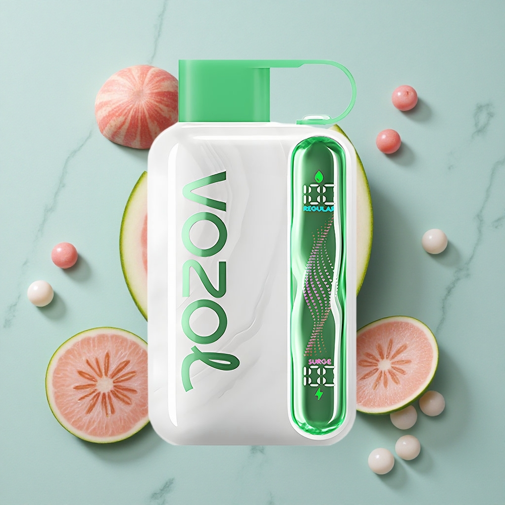 VOZOL STAR 40000 Puffs Wassermelone Kaugummi Geschmack 1000mAh Typ-C vape großhandel Deutschland