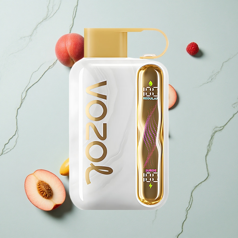 VOZOL STAR 40000 Puffs Weißer Pfirsich Himbeere Einweg-Vape 1000mAh Typ-C vape großhandel Deutschland