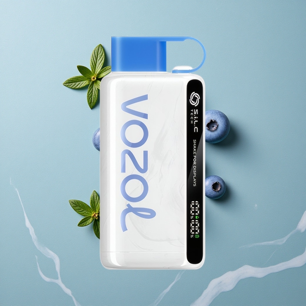 VOZOL STAR 9000/12000 Einweg-Vape Blaubeer-Sturm mit 650mAh Akku vape großhandel Deutschland