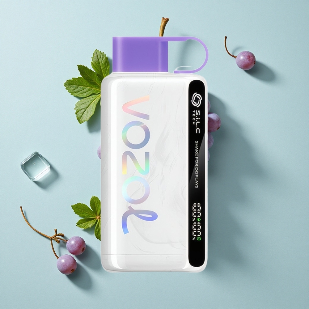VOZOL STAR 9000/12000 Einweg-Vape Grape Eis mit 650mAh Akku und bis zu 9000/12000 Puffs vape großhandel Deutschland