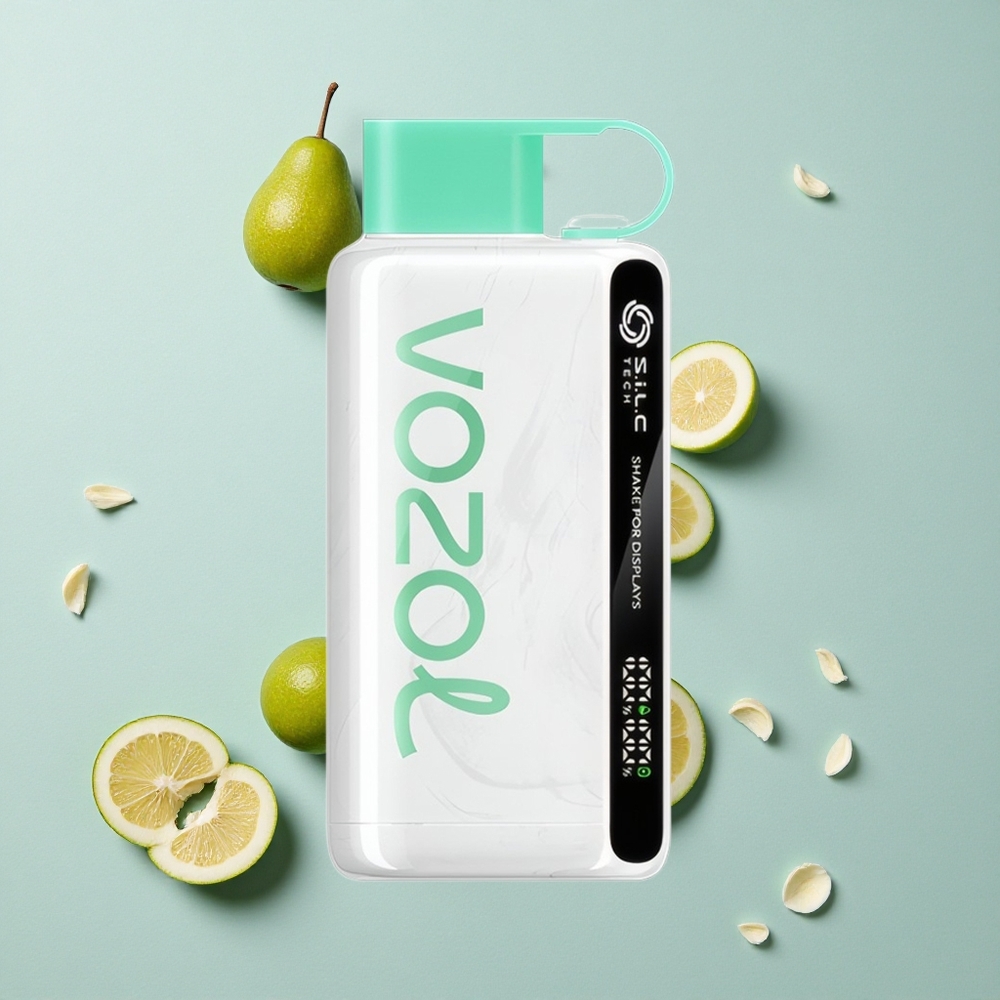 VOZOL STAR 9000/12000 Einweg-Vape Kühlminze mit 650mAh Akku  30 schnellerem Aufladen vape großhandel Deutschland