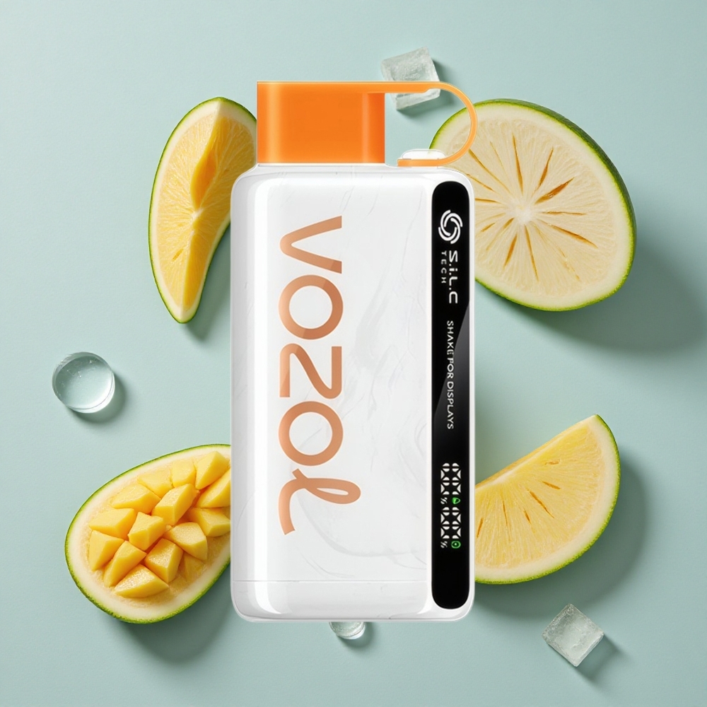 VOZOL STAR 9000/12000 Einweg-Vape Mexikanisches Mango Eis mit 650mAh Akku vape großhandel Deutschland