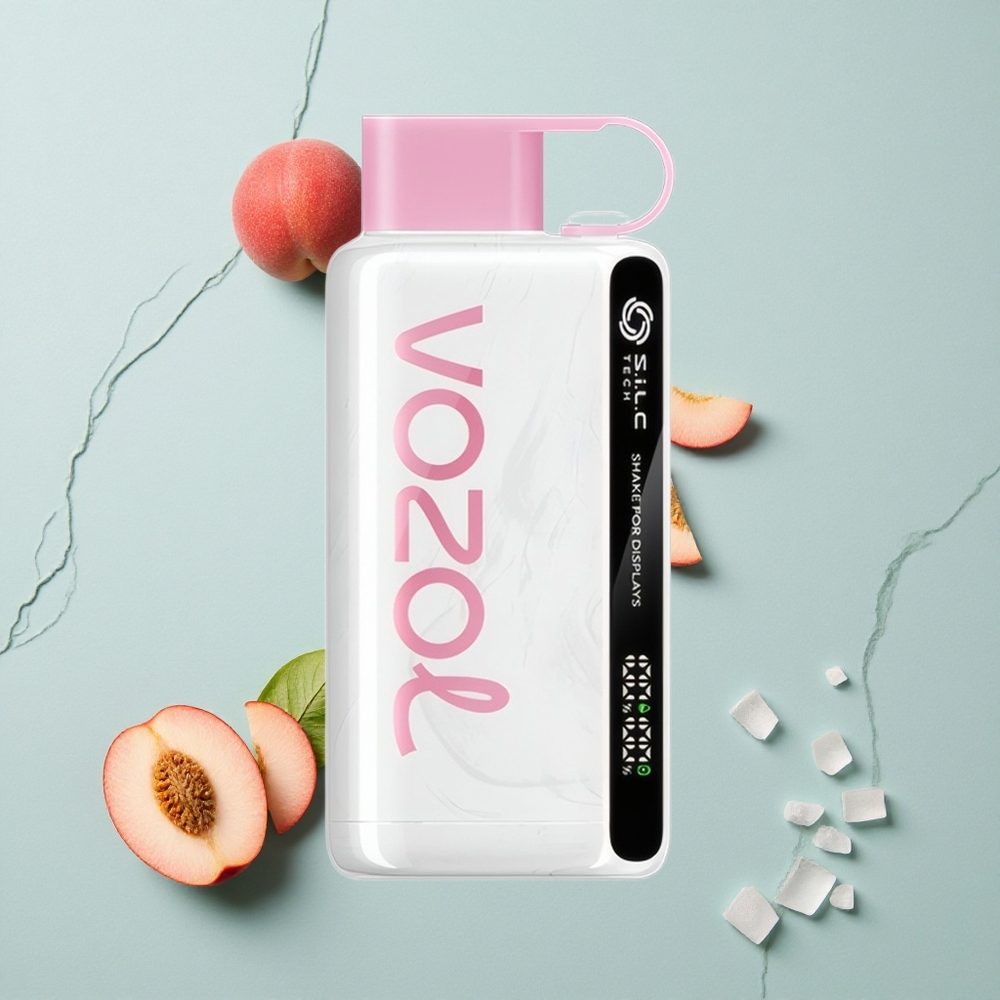 VOZOL STAR 9000/12000 Einweg-Vape Pfirsich Eis mit 650mAh Akku vape großhandel Deutschland