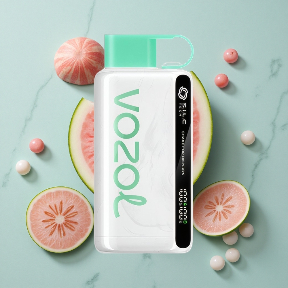 VOZOL STAR 9000/12000 Wassermelone Kaugummi Geschmack 650mAh vape großhandel Deutschland