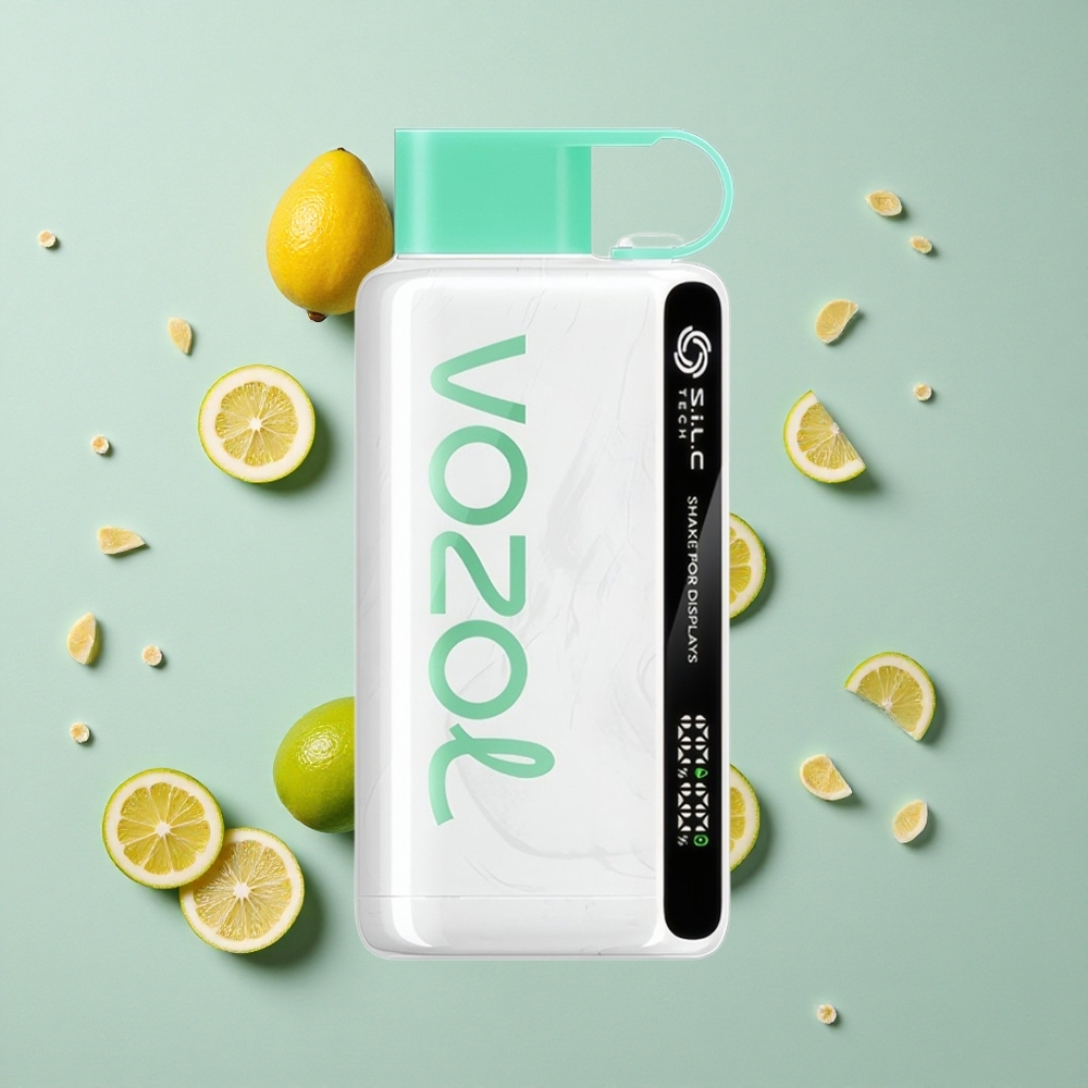 VOZOL STAR 9000/12000 Zitrone Minze Einweg-Vape mit 650mAh Akku vape großhandel Deutschland