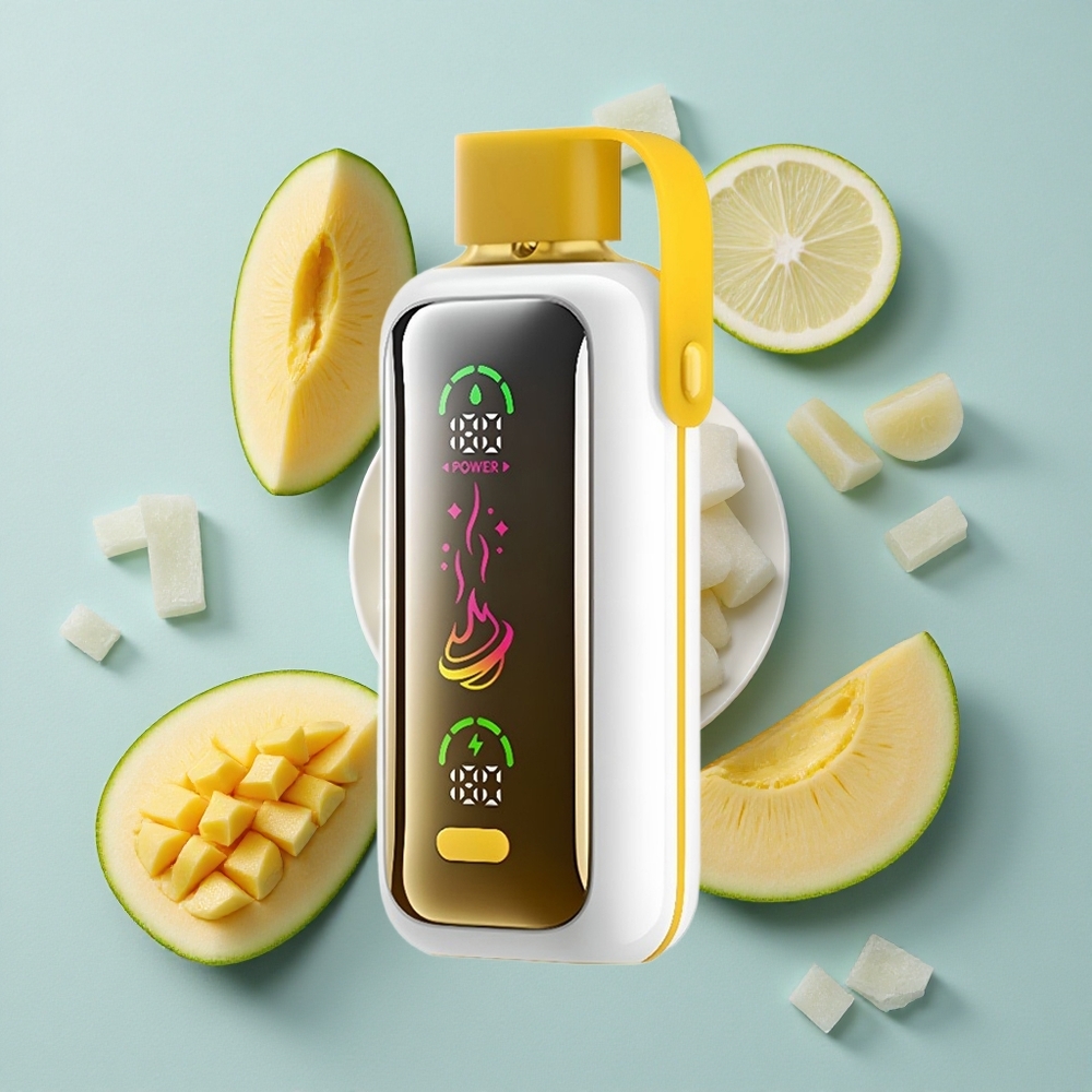 VOZOL Star 20000 Puffs Mango Eis Dual Mesh 22 HD Spiegeldisplay vape großhandel Deutschland