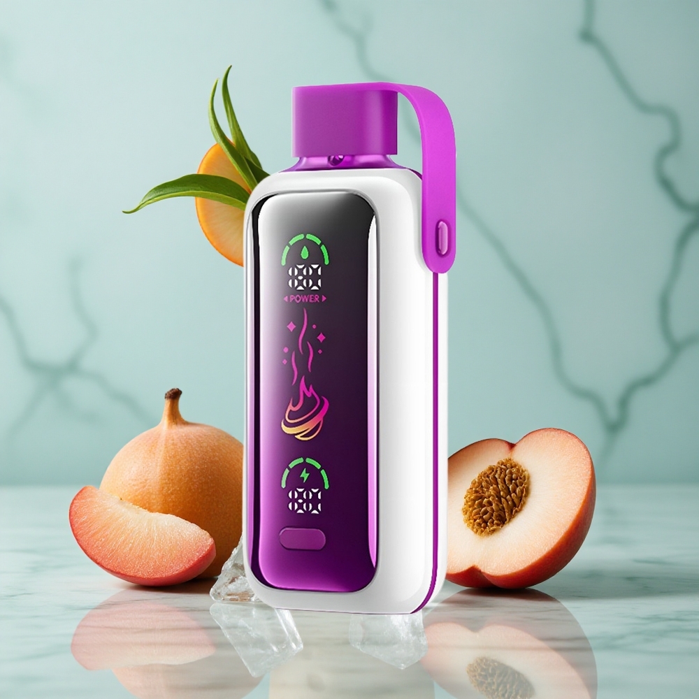 VOZOL Star 20000 Puffs Pfirsich Eis Dual Mesh vape großhandel Deutschland