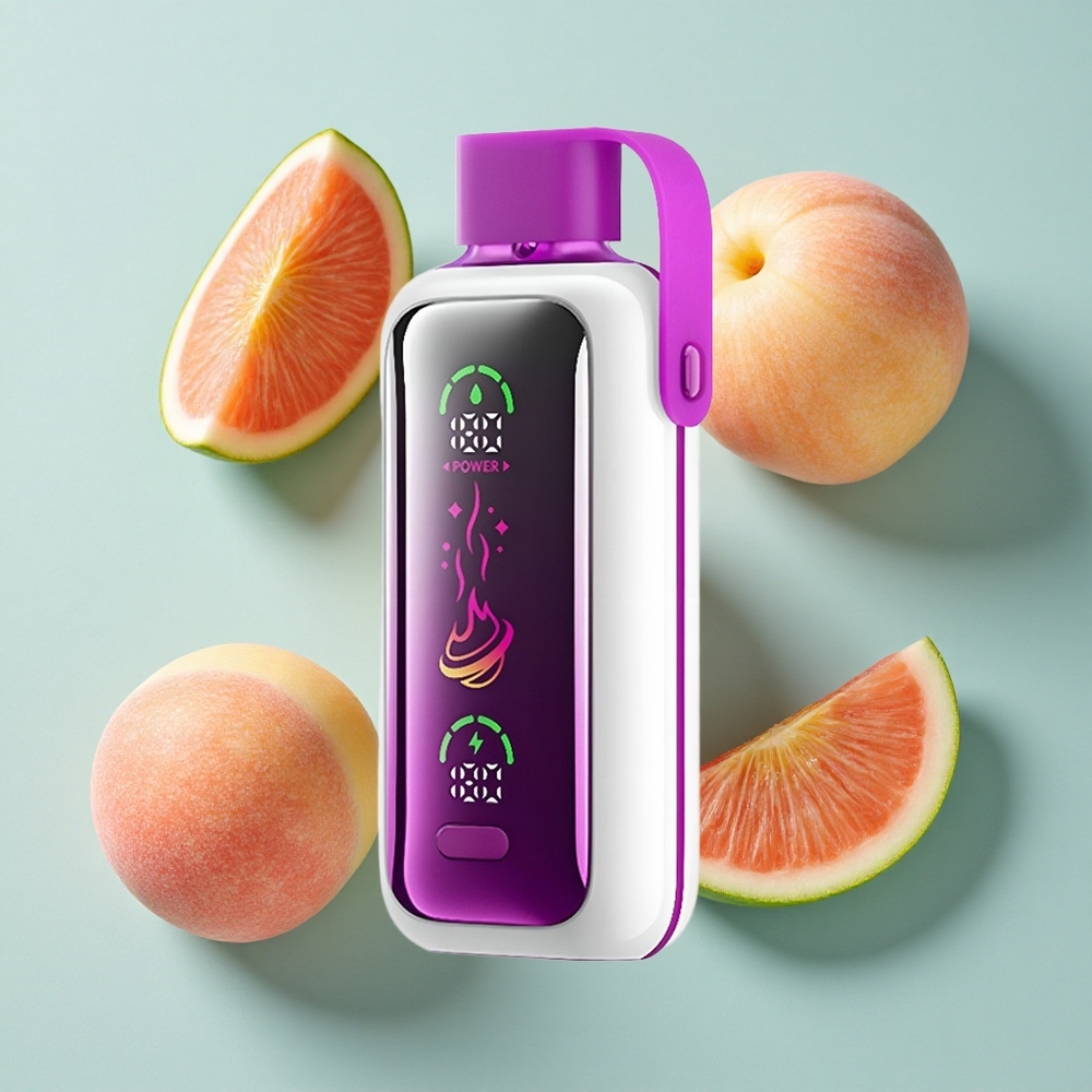 VOZOL Star 20000 Puffs Pfirsich Mango Wassermelone Dual Mesh vape großhandel Deutschland