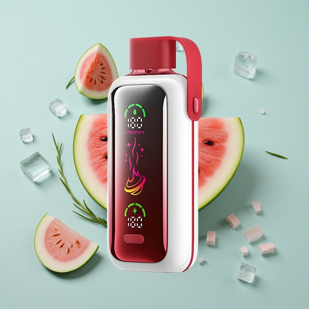 VOZOL Star 20000 Puffs Wassermelone Eis Dual Mesh vape großhandel Deutschland