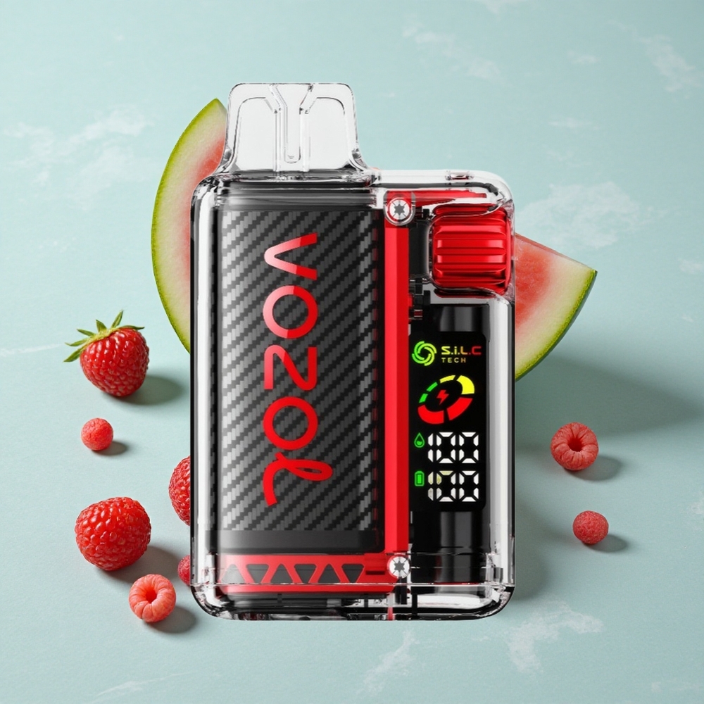 VOZOL Vista 20000 Puffs Himbeere Wassermelone 650mAh OLED vape großhandel Deutschland