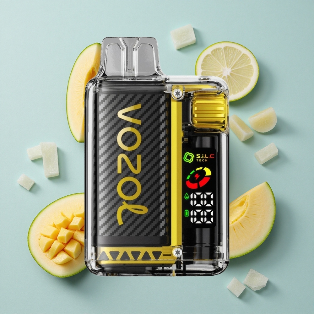 VOZOL Vista 20000 Puffs Mango Eis OLED Display vape großhandel Deutschland
