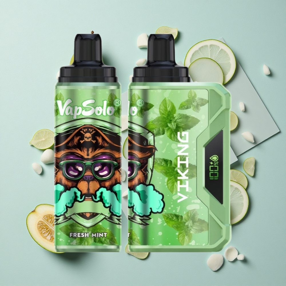 VapSolo VIKING 12000 Puffs Frische Minze 22ml E-Liquid vape großhandel Deutschland