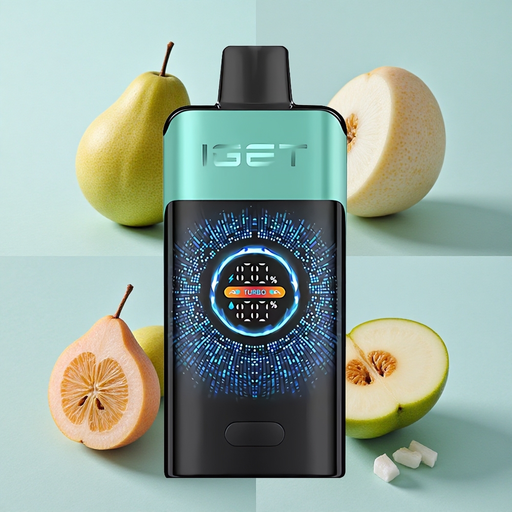 IGET ONE 12000 Puffs Bergquelle Minze Eis 2700 mAh vape großhandel Deutschland