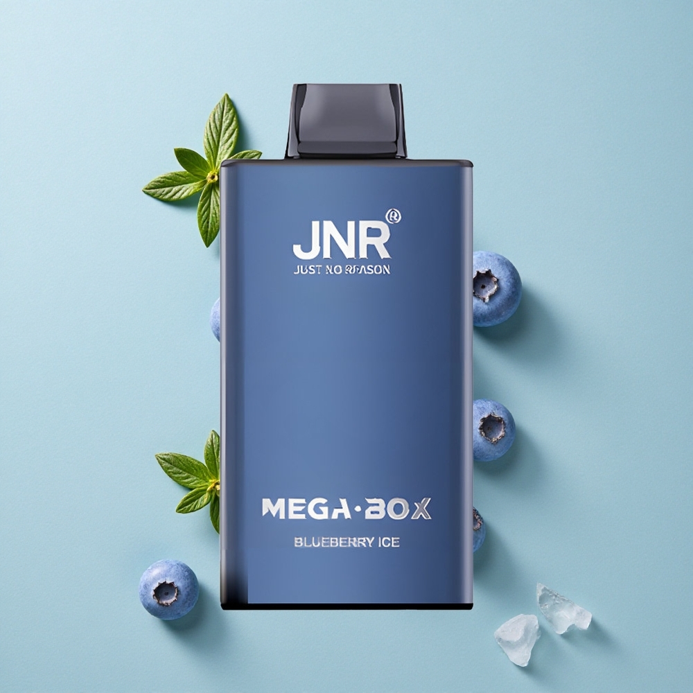 JNR Mega Box 25000 Puffs Blaubeer-Eis 30ml E-Liquid vape großhandel Deutschland