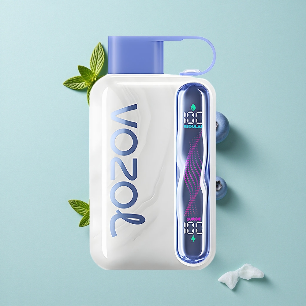 VOZOL STAR 40000 Puffs Blaubeer Minze Einweg-Vape 1000mAh Type-C vape großhandel Deutschland