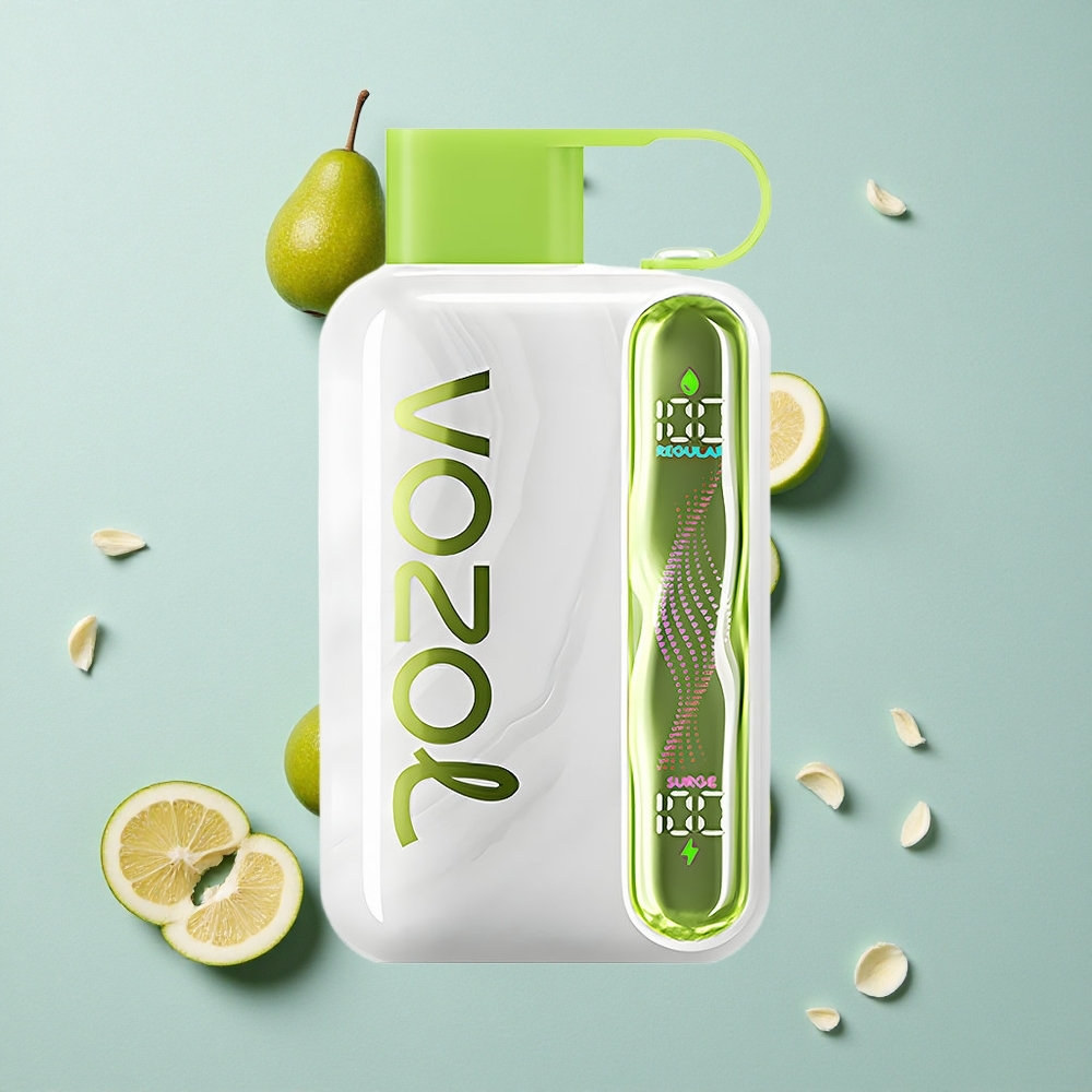 VOZOL STAR 40000 Puffs Kühle Minze Einweg-Vape 1000mAh Typ-C vape großhandel Deutschland
