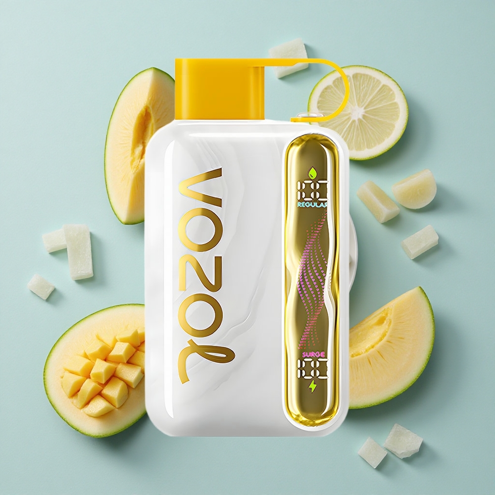 VOZOL STAR 40000 Puffs Mango-Eis Einweg-Vape 1000mAh Typ-C vape großhandel Deutschland