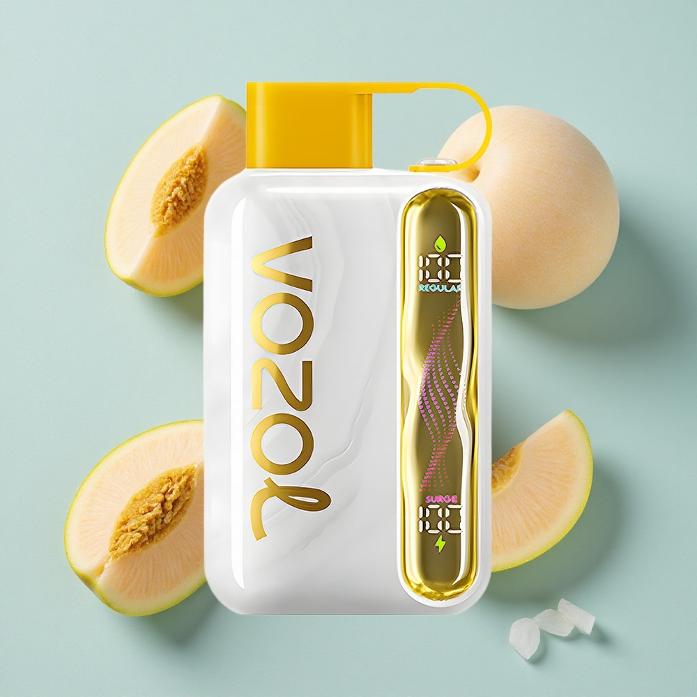 VOZOL STAR 40000 Puffs Mango Pfirsich Einweg-Vape 1000mAh Typ-C vape großhandel Deutschland